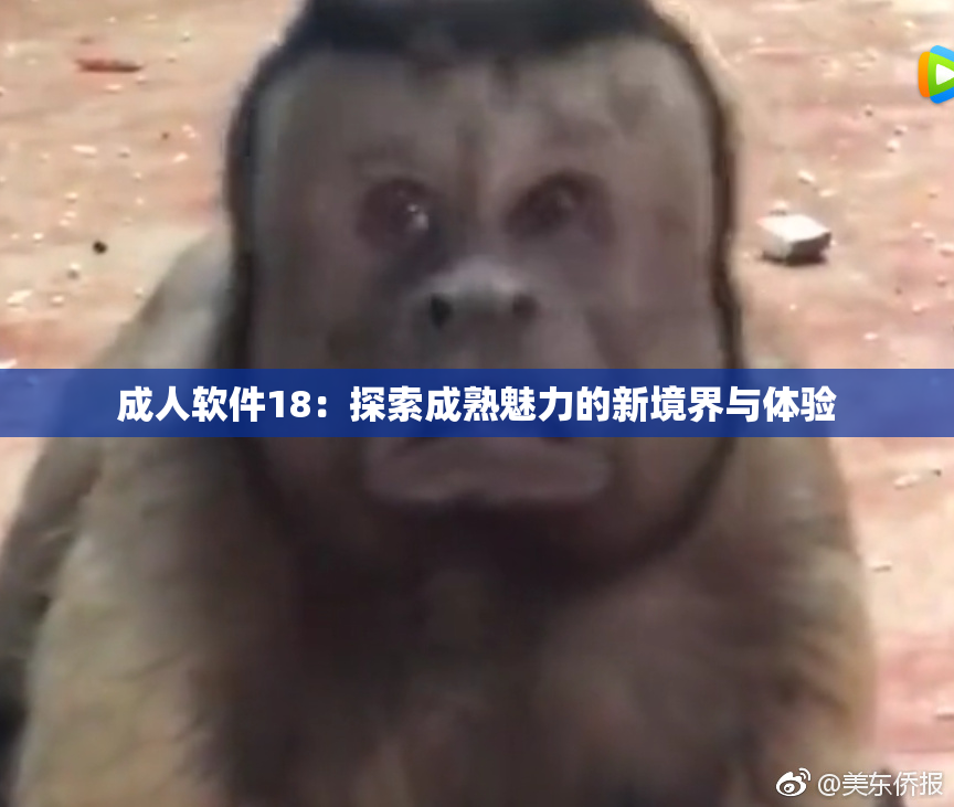 成人软件18：探索成熟魅力的新境界与体验