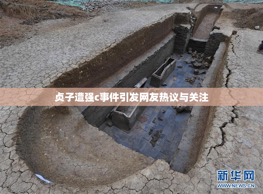 贞子遭强c事件引发网友热议与关注