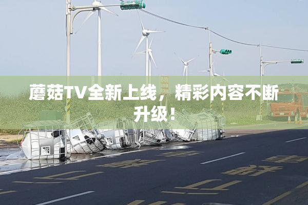 蘑菇TV全新上线，精彩内容不断升级！