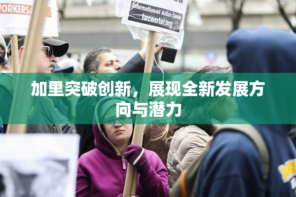 加里突破创新，展现全新发展方向与潜力