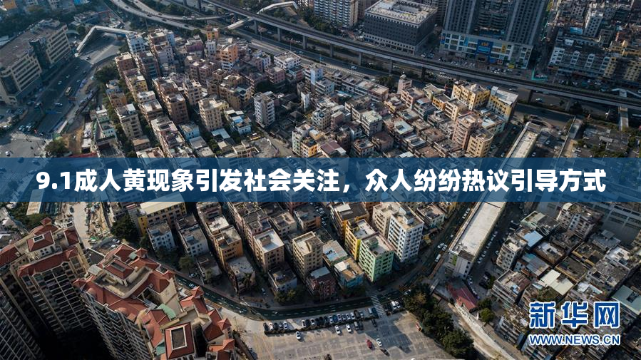 9.1成人黄现象引发社会关注，众人纷纷热议引导方式