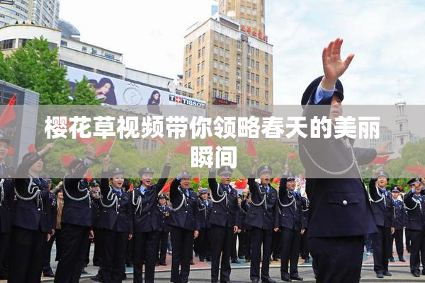 樱花草视频带你领略春天的美丽瞬间