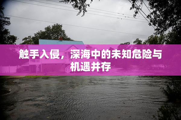 触手入侵，深海中的未知危险与机遇并存
