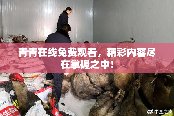 青青在线免费观看，精彩内容尽在掌握之中！