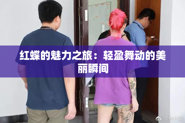 红蝶的魅力之旅：轻盈舞动的美丽瞬间