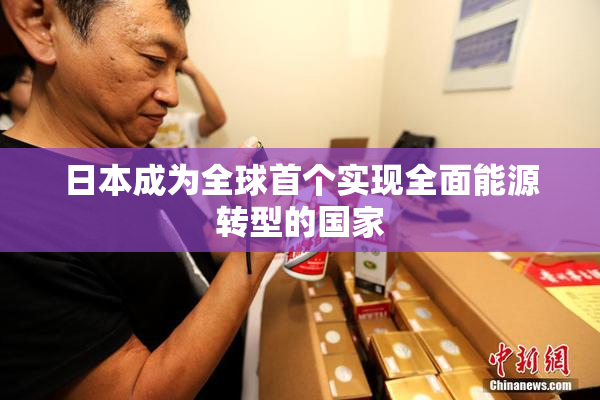 日本成为全球首个实现全面能源转型的国家
