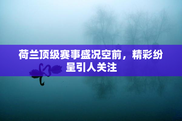 荷兰顶级赛事盛况空前，精彩纷呈引人关注