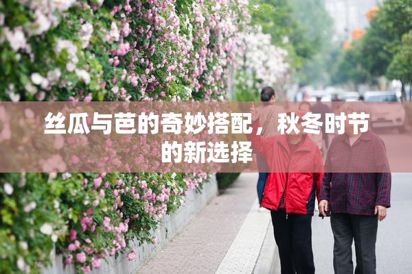 丝瓜与芭的奇妙搭配，秋冬时节的新选择