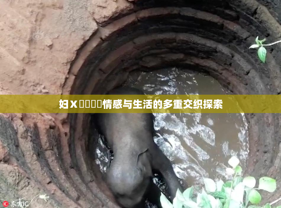 妇Ⅹ乄乂❌‌情感与生活的多重交织探索