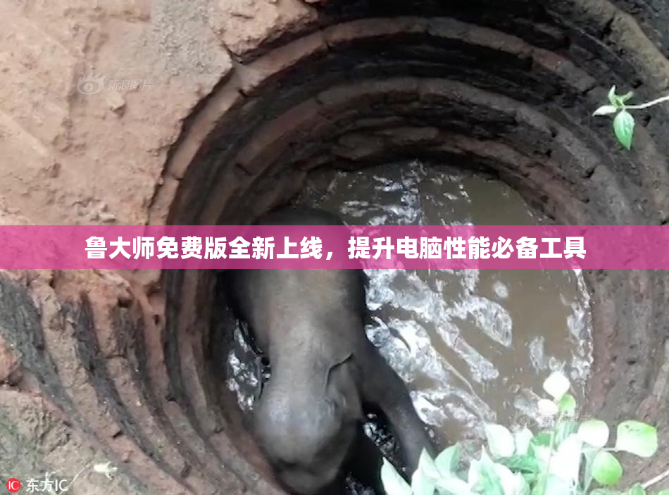 鲁大师免费版全新上线，提升电脑性能必备工具