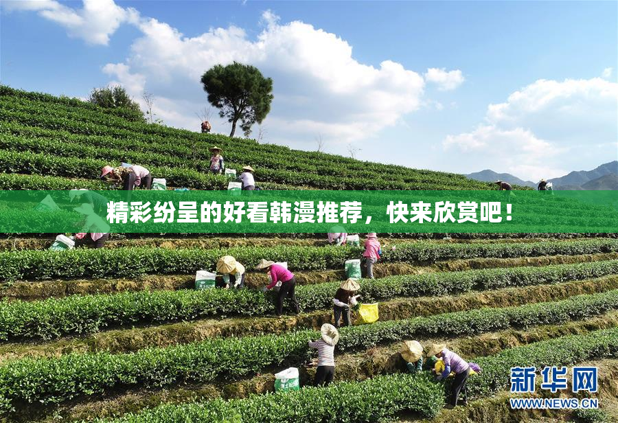 精彩纷呈的好看韩漫推荐，快来欣赏吧！