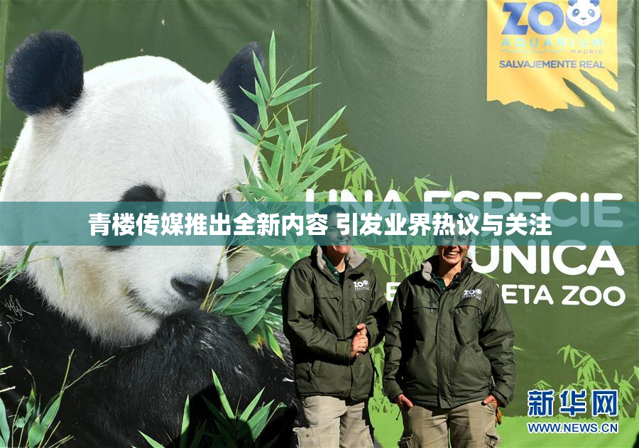 青楼传媒推出全新内容 引发业界热议与关注