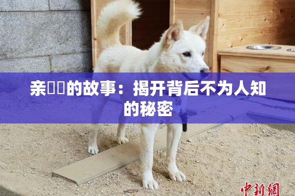 亲妺妺的故事：揭开背后不为人知的秘密