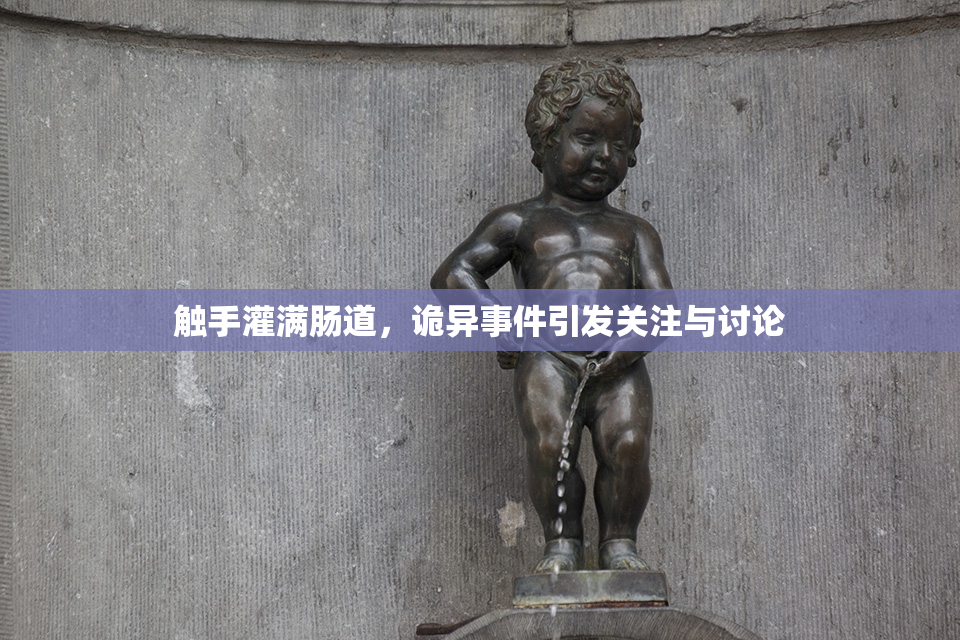 触手灌满肠道，诡异事件引发关注与讨论
