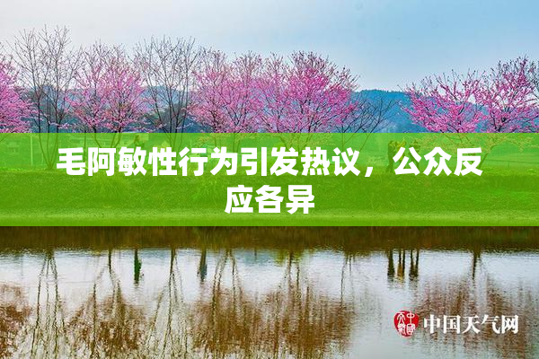 毛阿敏性行为引发热议，公众反应各异