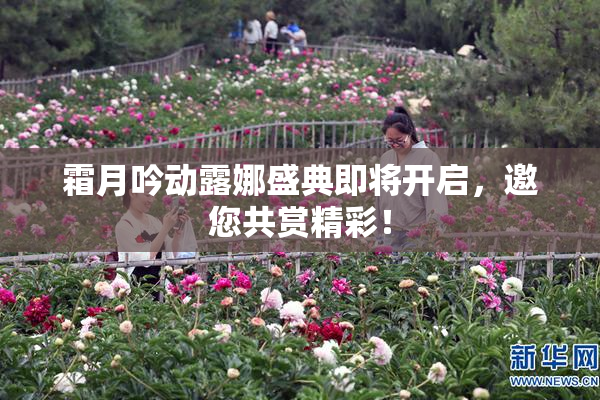 霜月吟动露娜盛典即将开启，邀您共赏精彩！