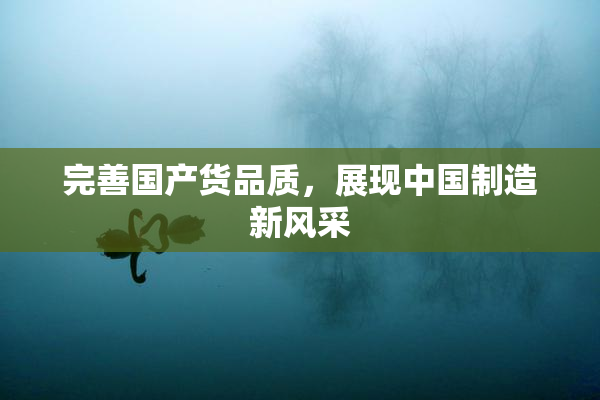 完善国产货品质，展现中国制造新风采