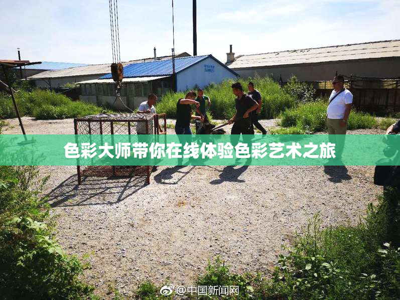色彩大师带你在线体验色彩艺术之旅