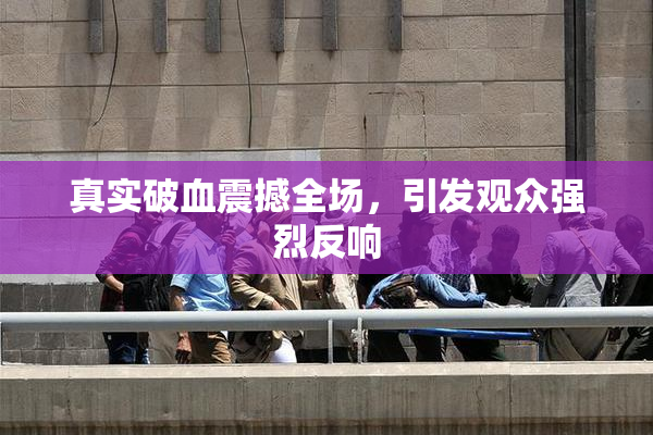 真实破血震撼全场，引发观众强烈反响