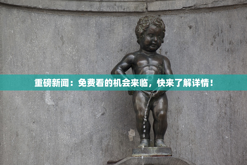 重磅新闻：免费看的机会来临，快来了解详情！