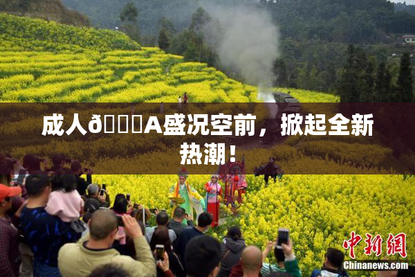 成人🔞A盛况空前，掀起全新热潮！