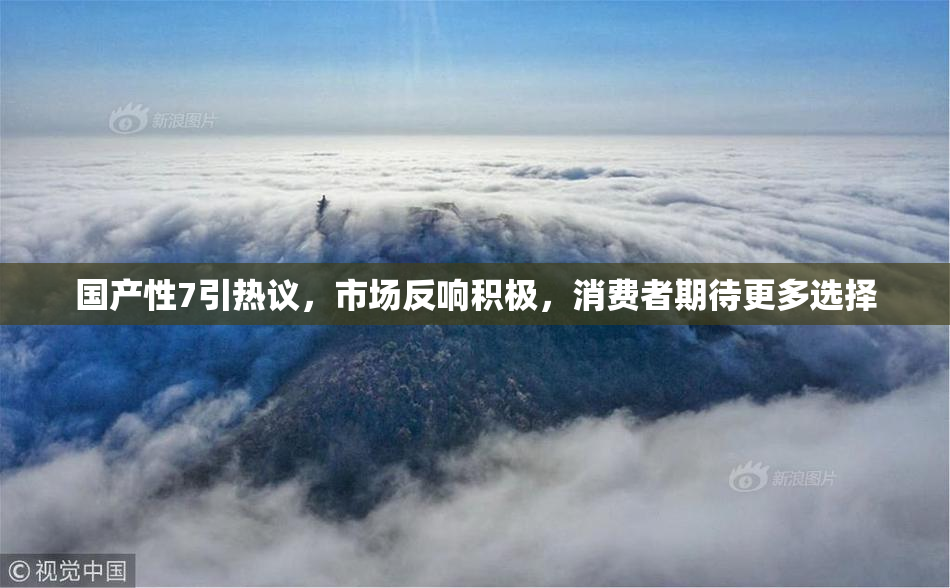 国产性7引热议，市场反响积极，消费者期待更多选择