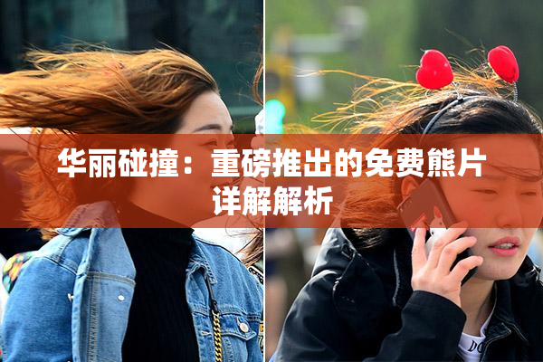 华丽碰撞：重磅推出的免费熊片详解解析
