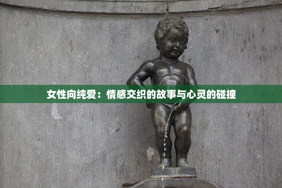 女性向纯爱：情感交织的故事与心灵的碰撞