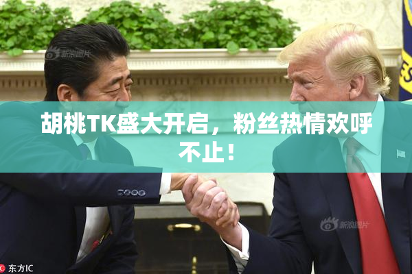 胡桃TK盛大开启，粉丝热情欢呼不止！