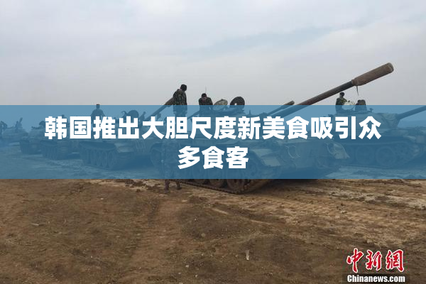 韩国推出大胆尺度新美食吸引众多食客