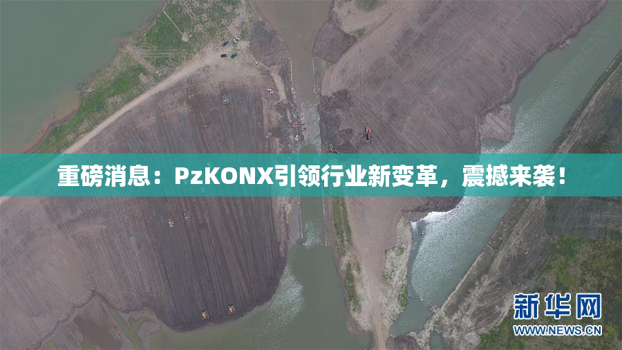 重磅消息：PzKONX引领行业新变革，震撼来袭！