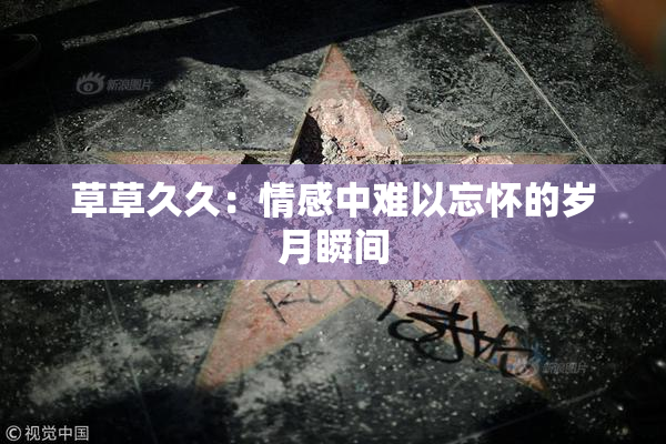 草草久久：情感中难以忘怀的岁月瞬间