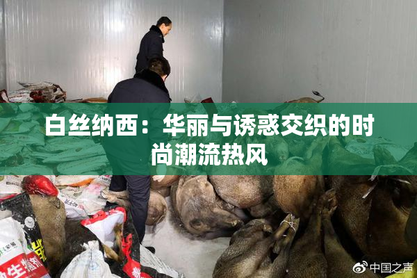 白丝纳西：华丽与诱惑交织的时尚潮流热风