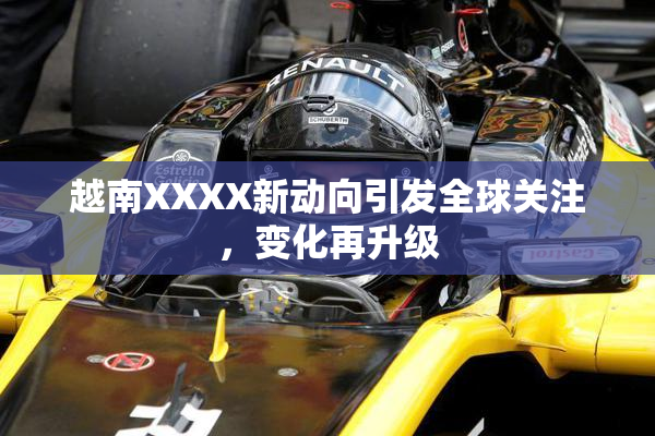 越南XXXX新动向引发全球关注，变化再升级