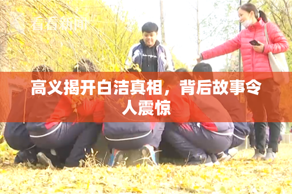 高义揭开白洁真相，背后故事令人震惊
