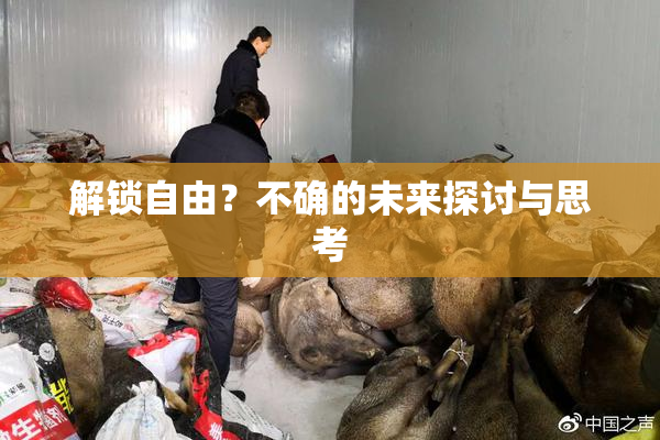解锁自由？不确的未来探讨与思考