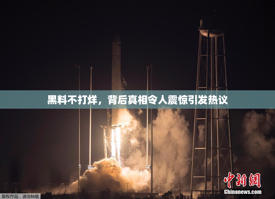 黑料不打烊，背后真相令人震惊引发热议