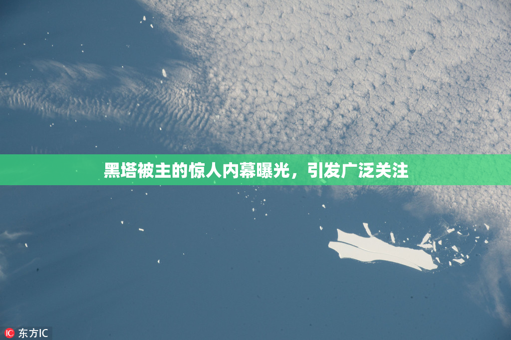 黑塔被主的惊人内幕曝光，引发广泛关注