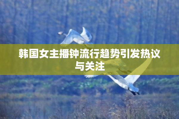 韩国女主播钟流行趋势引发热议与关注