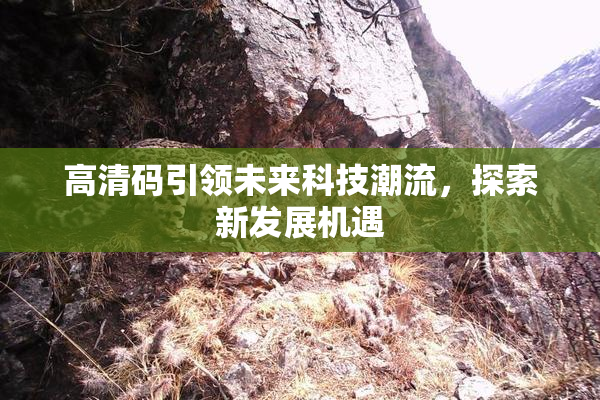 高清码引领未来科技潮流，探索新发展机遇