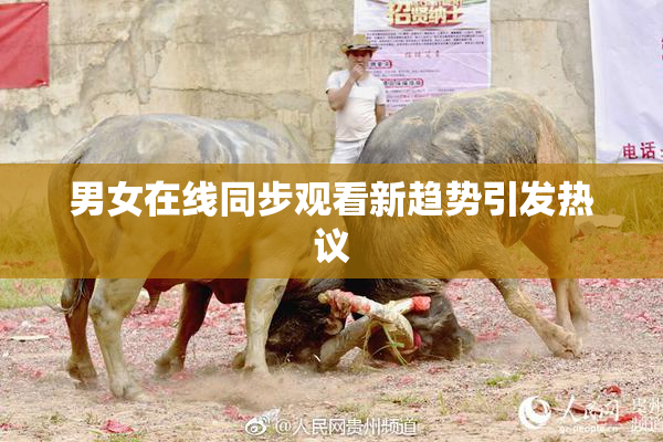 男女在线同步观看新趋势引发热议