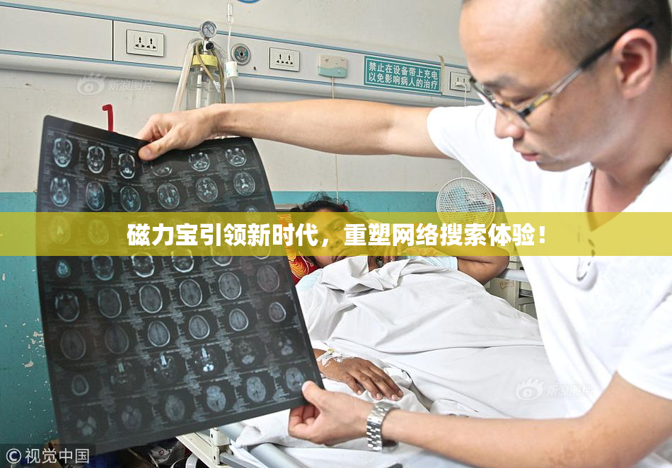 磁力宝引领新时代，重塑网络搜索体验！