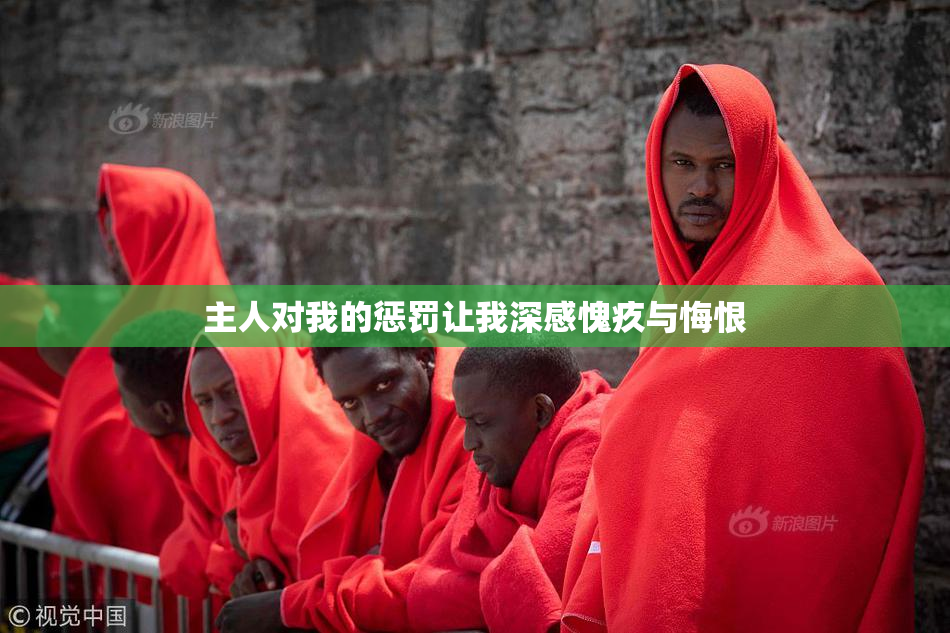 主人对我的惩罚让我深感愧疚与悔恨