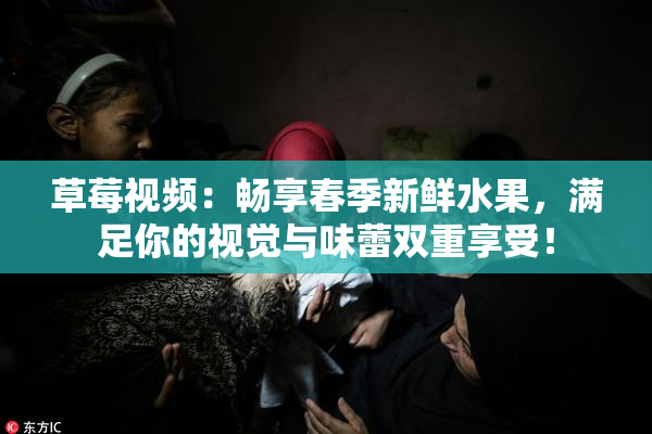 草莓视频：畅享春季新鲜水果，满足你的视觉与味蕾双重享受！
