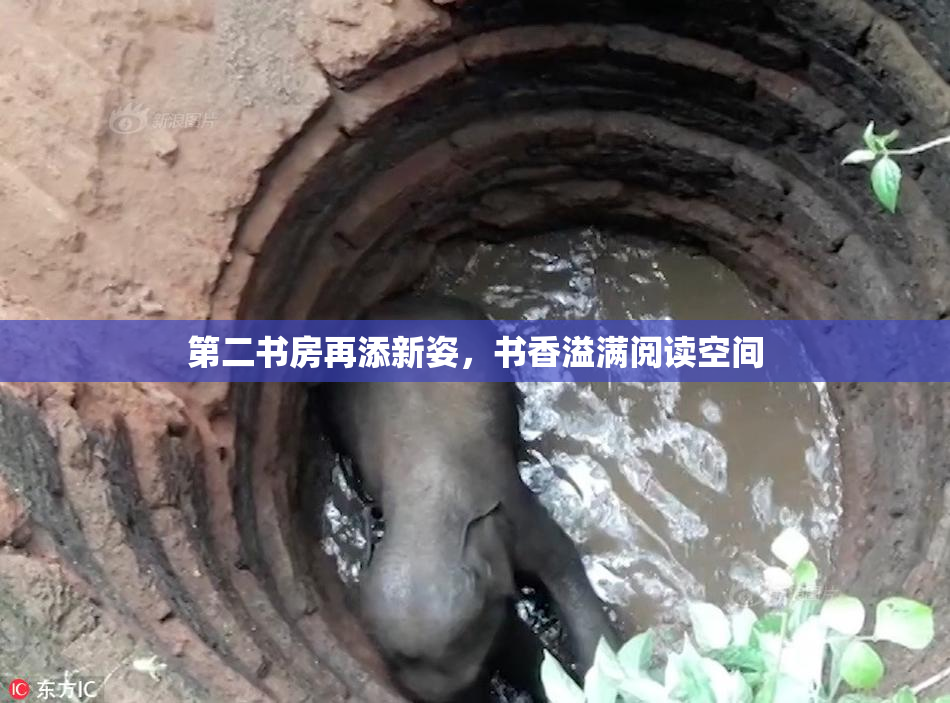 第二书房再添新姿，书香溢满阅读空间