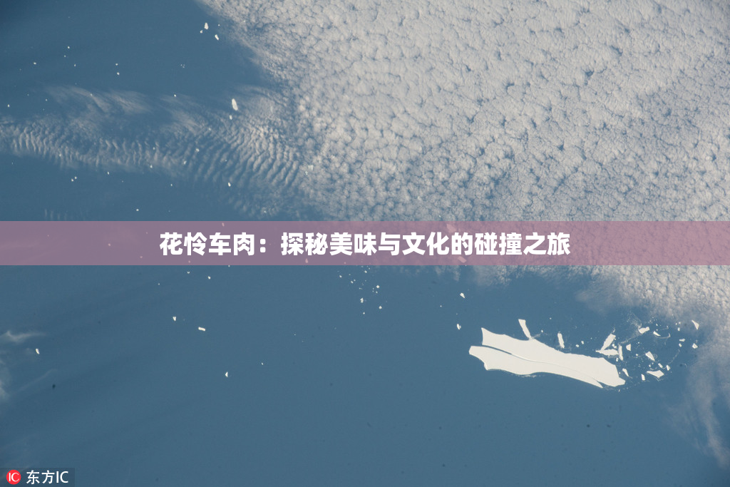 花怜车肉：探秘美味与文化的碰撞之旅