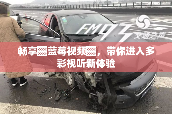 畅享▓蓝莓视频▓，带你进入多彩视听新体验
