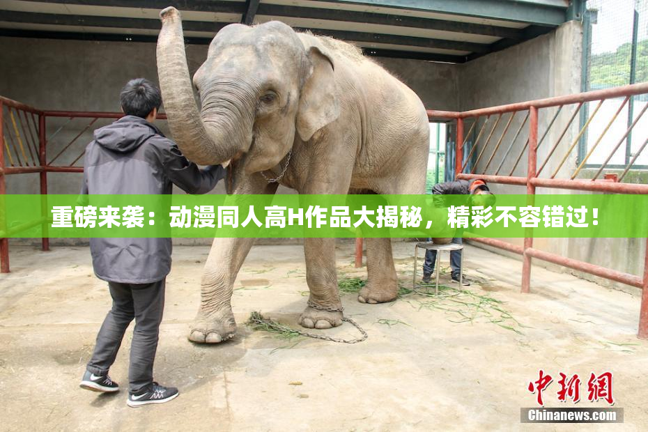 重磅来袭：动漫同人高H作品大揭秘，精彩不容错过！