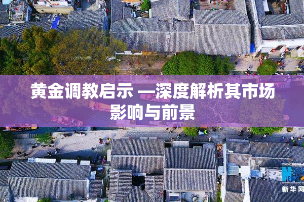 黄金调教启示 —深度解析其市场影响与前景