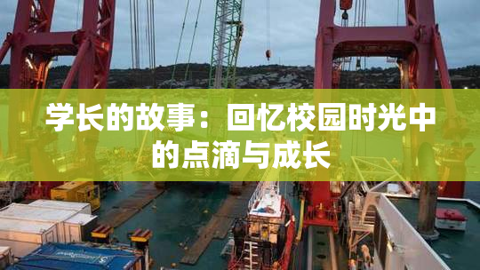 学长的故事：回忆校园时光中的点滴与成长